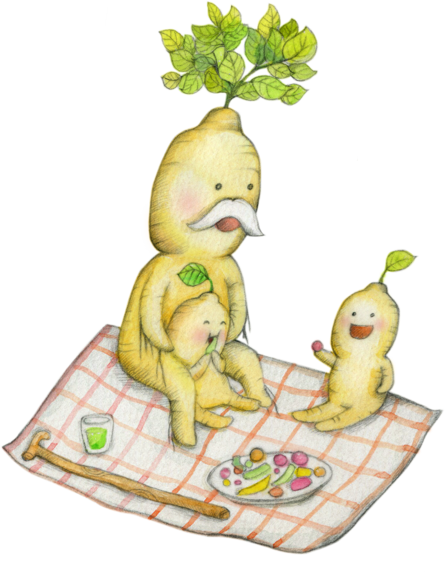 人蔘仙帶領您了解漢方養生